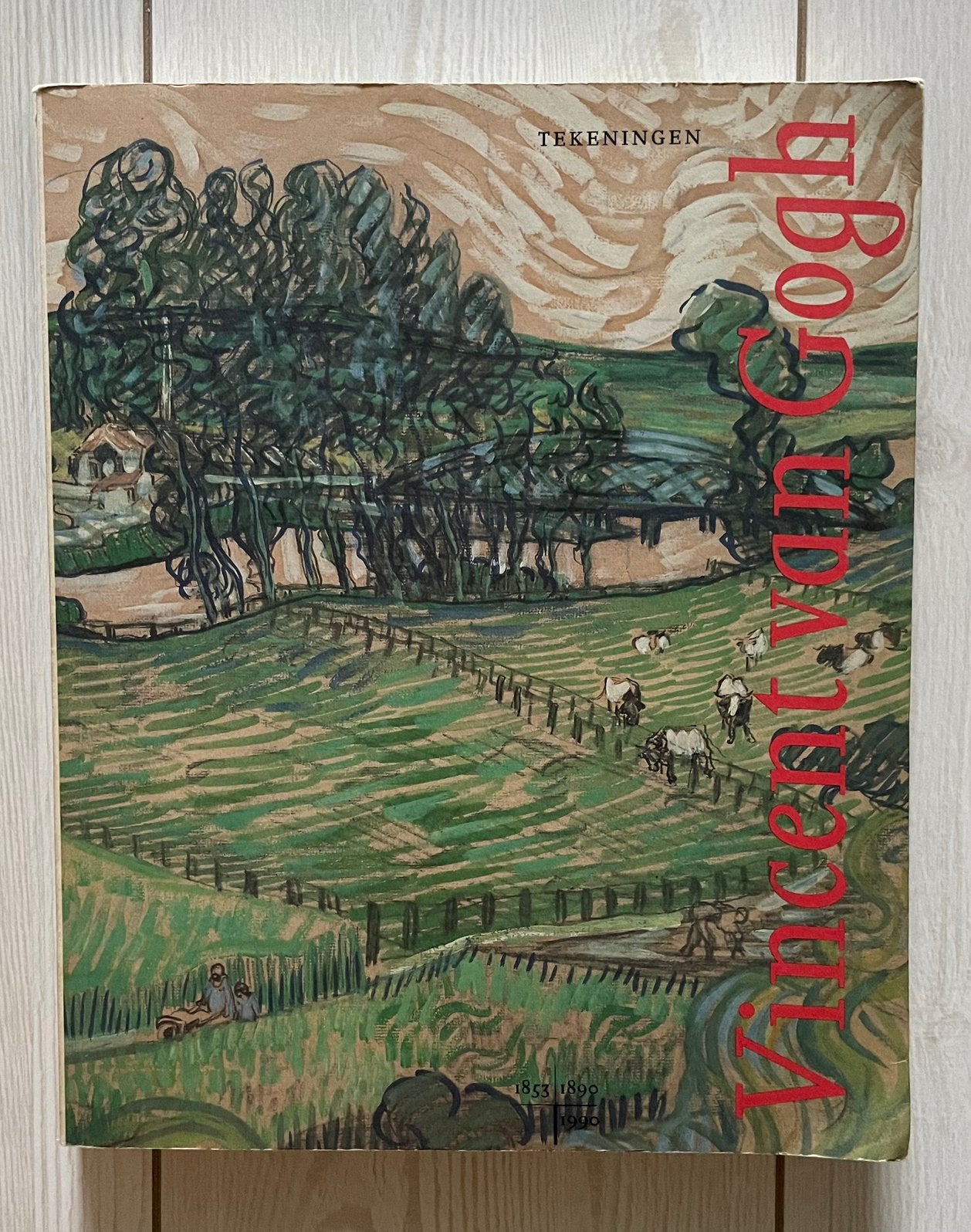 Boek van Vincent van Gogh, Ophalen of Verzenden, Gelezen
