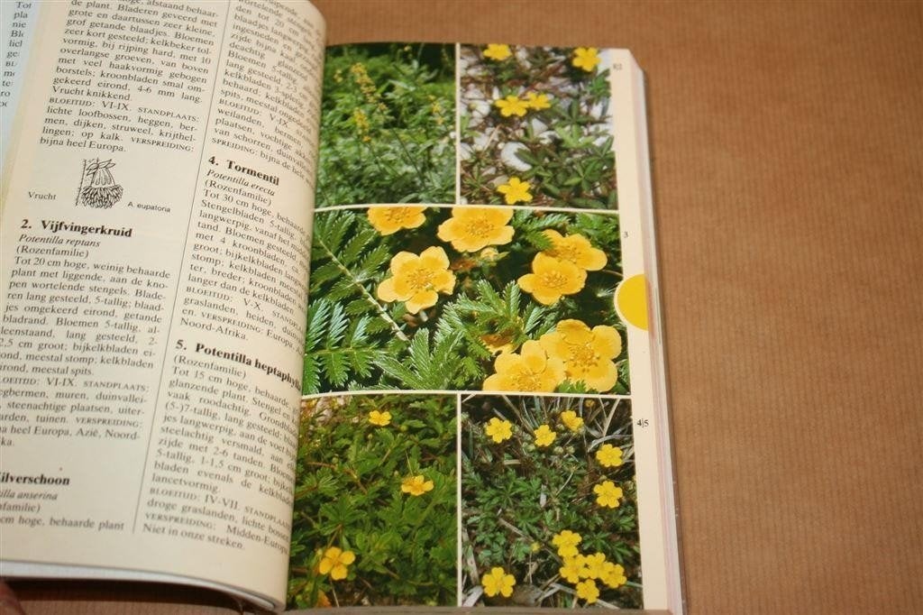 Elseviers Bloemengids in Kleur — Rijk Geïllustreerd, Boeken, Ophalen of Verzenden, Gelezen, Vogels