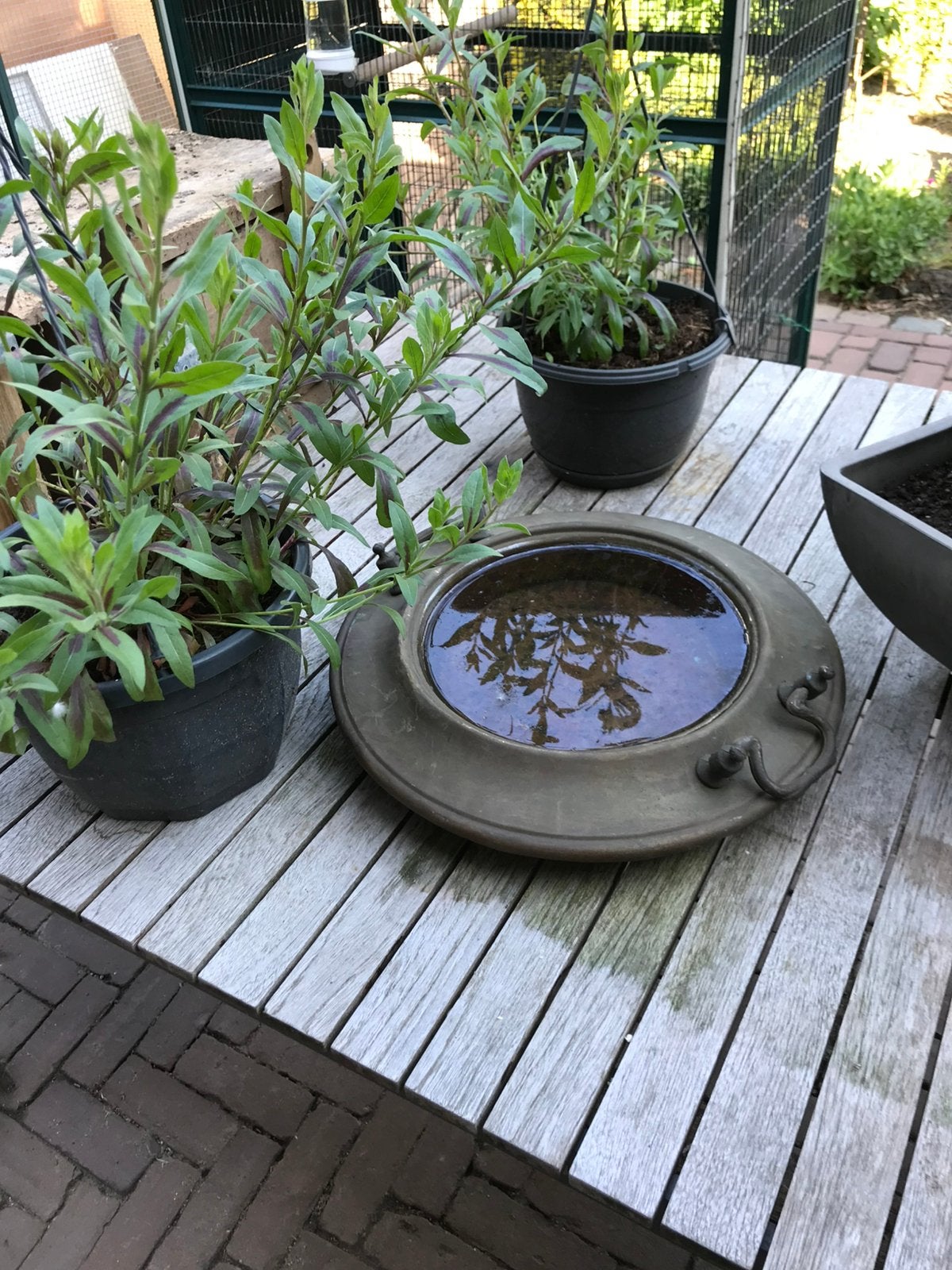 Drinkschaal koper, Tuin en Terras, Ophalen of Verzenden, Gebruikt, Overige typen