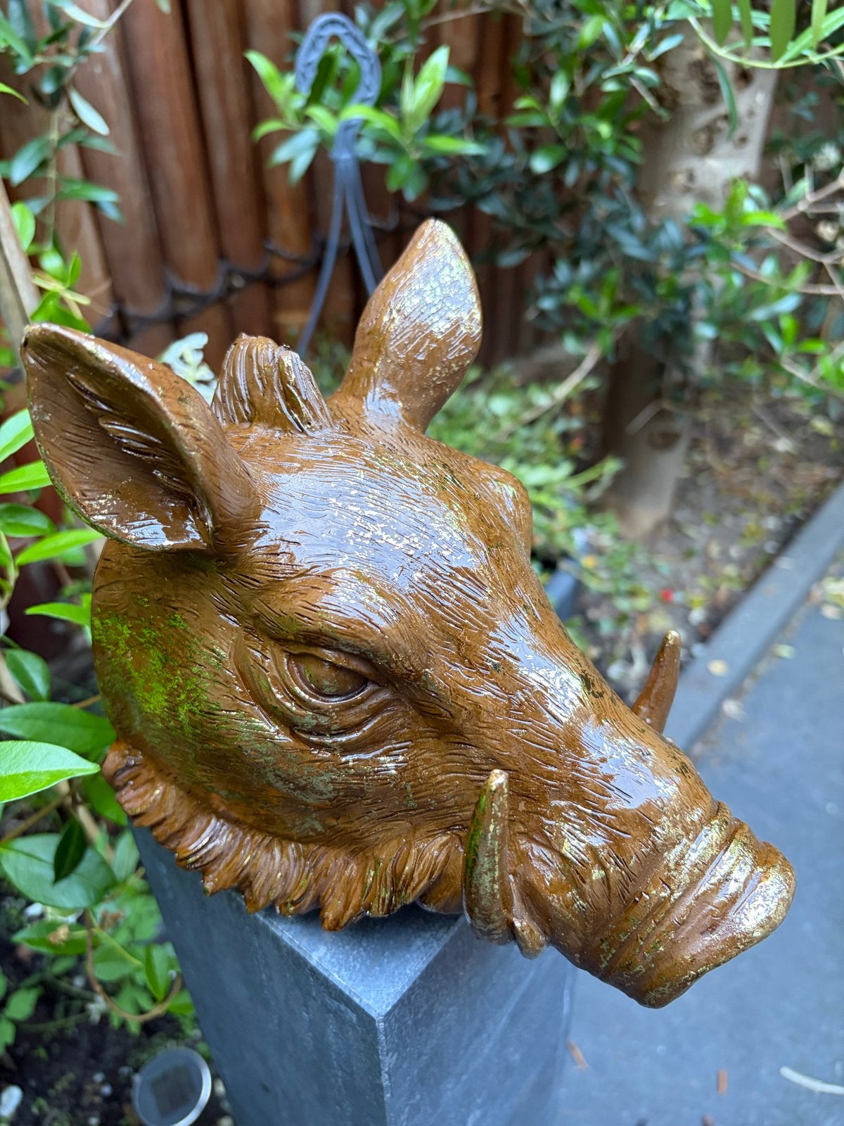 Decoratieve Wildzwijnkop - Wanddecoratie, Overige materialen, Ophalen of Verzenden, Bruin, Landelijk