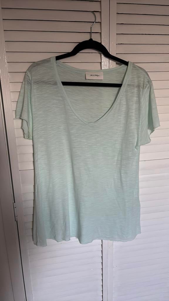 American vintage top maat L, Ophalen of Verzenden, Zo goed als nieuw, Maat 38/40 (M)