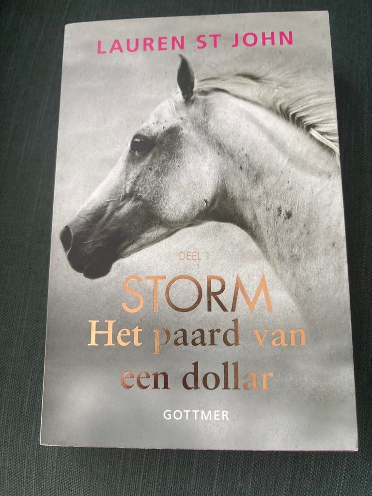 Storm: Het paard van een dollar - Deel 1 (Lauren St John), Boeken, Ophalen of Verzenden, Gelezen, Europa overig