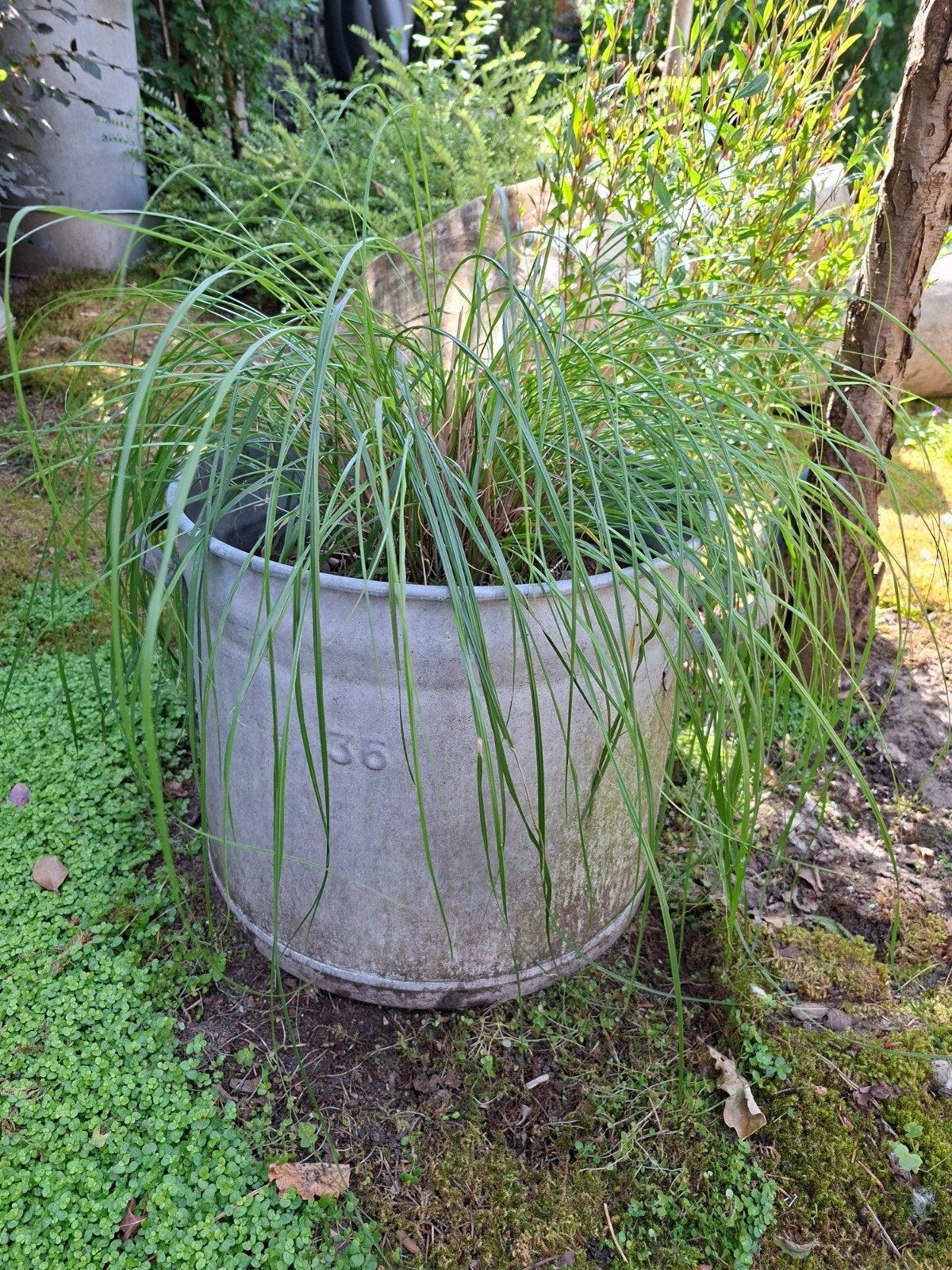Zinken teil / wasemmer, Ophalen, Metaal, 30 tot 60 cm, 60 tot 100 cm