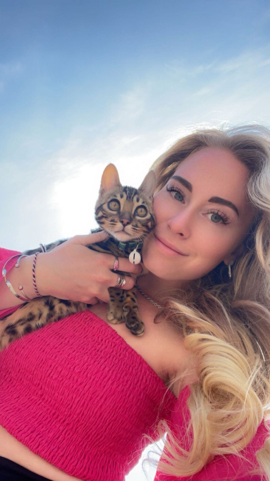 Poes Bengaal, Poes, Kortharig, 3 tot 5 jaar