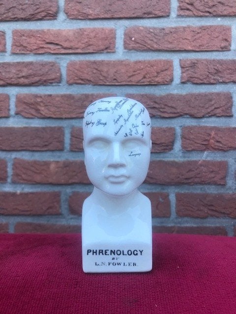 frenologie hoofdje, porselein, Antiek en Kunst, Ophalen of Verzenden