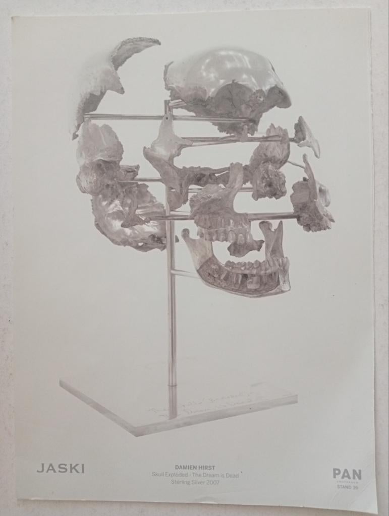 Damien Hirst Jaski Pan affiche, Ophalen of Verzenden, Knipsel(s)