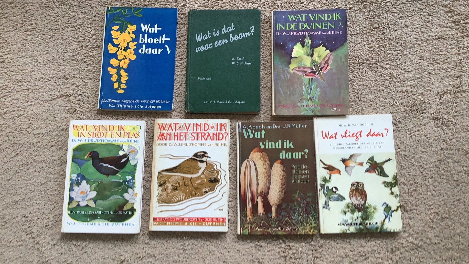 Wat bloeit daar - Wat vind ik …. - Wat vliegt daar - Wat is, Ophalen of Verzenden, Gelezen, Natuur algemeen