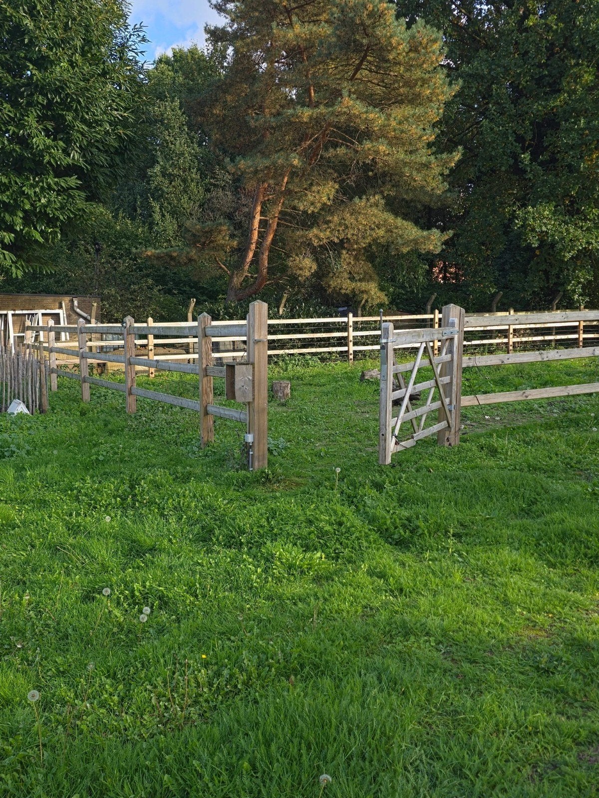 Paardenbak inclusief stroom en hok, Dieren en Toebehoren, Ophalen, Gebruikt, Recreatie