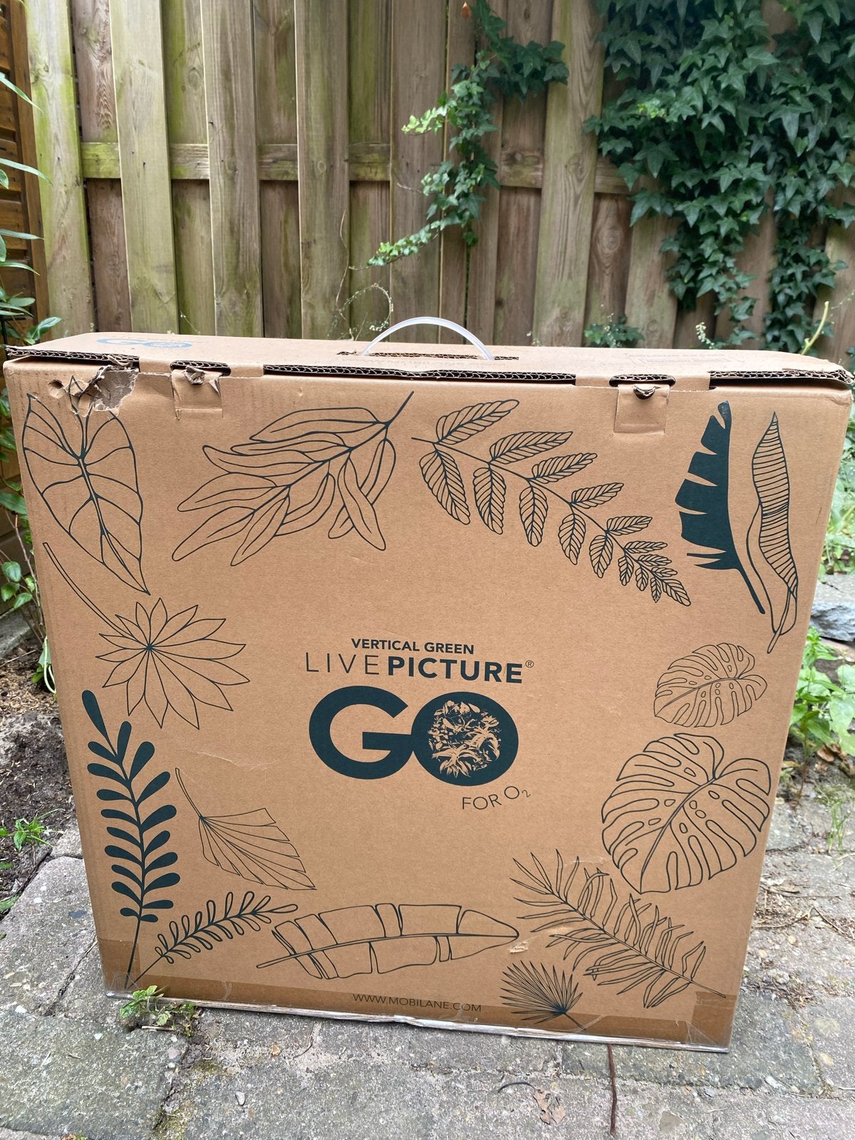 LivePicture GO - Verticale plantenwand (nieuw in doos), Ophalen, Overige soorten, Halfschaduw, In pot