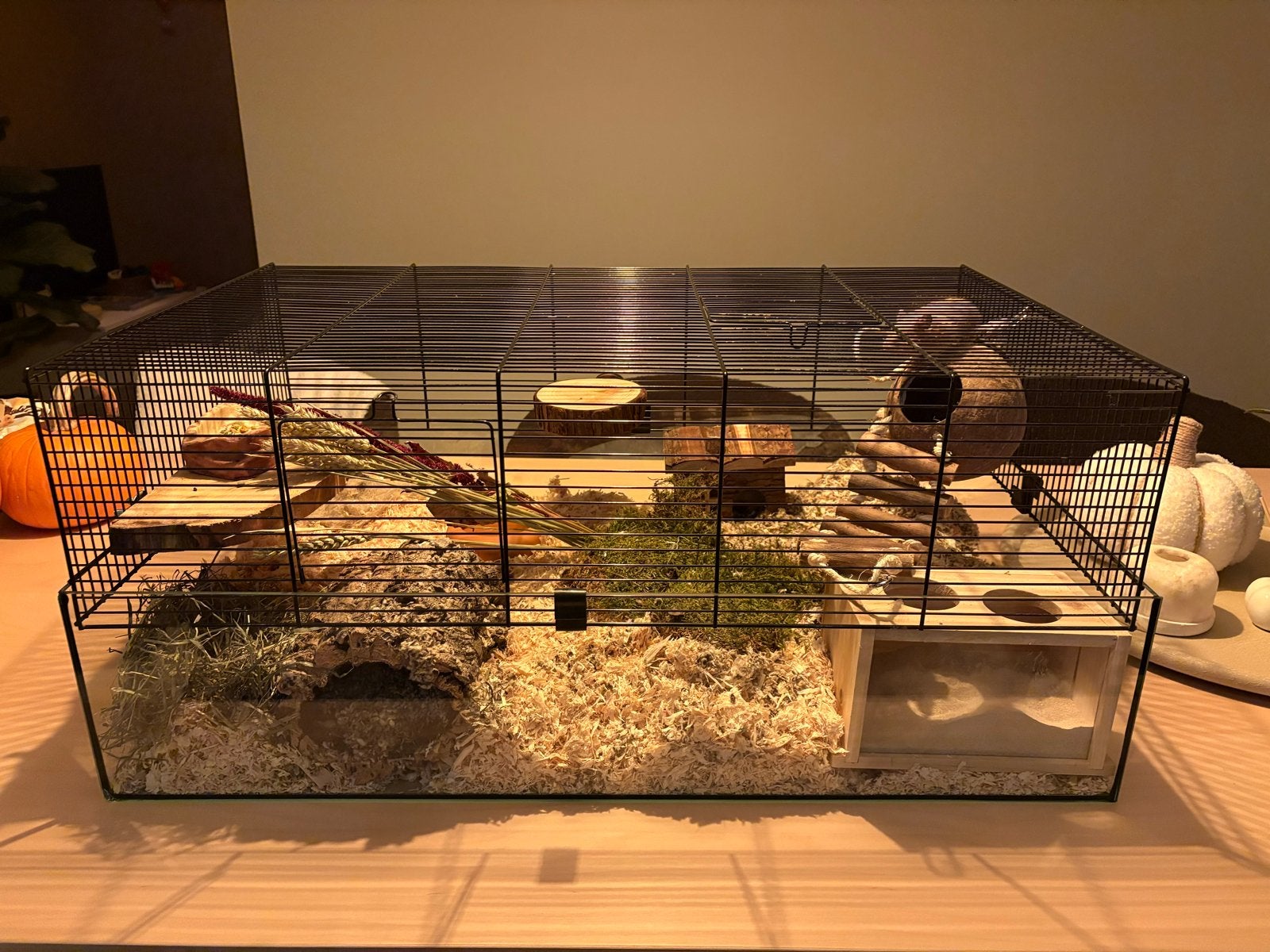 Hamsterkooi/terrarium 80x45x35, Dieren en Toebehoren, Kooi, Hamster, 75 tot 110 cm, Ophalen
