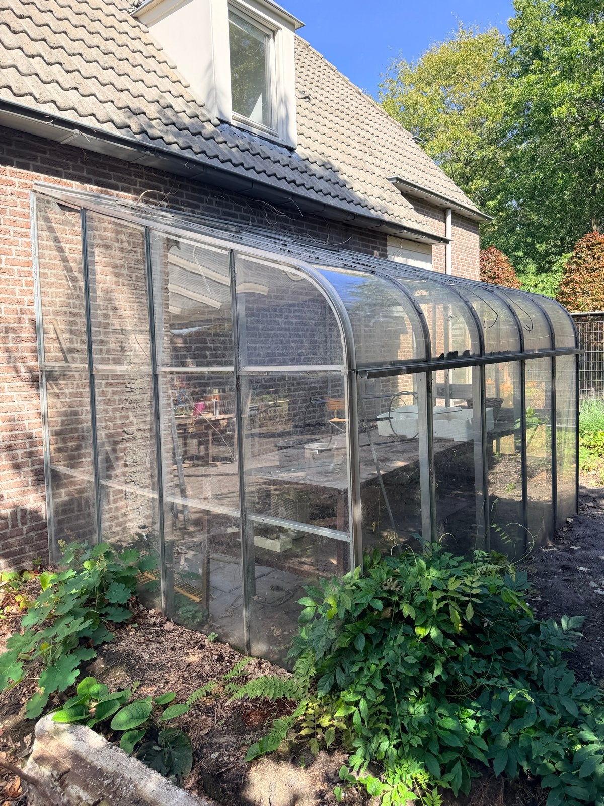 Ruime muurkas voor uw tuin - tuinkas, Ophalen, Gebruikt, Muurkas, Glas