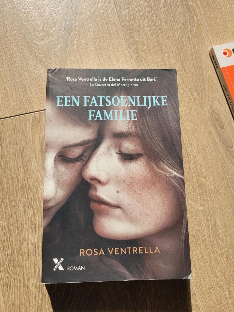 Een fatsoenlijke familie - Rosa Ventrella (gelezen), Ophalen of Verzenden, Gelezen, Rosa Ventrella, Nederland