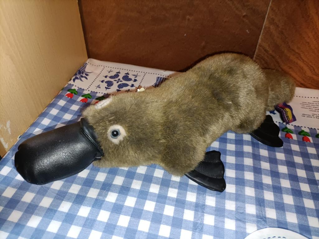 Vogelbekdier knuffel uit Australië Sundown met kaartje 44 cm, Ophalen of Verzenden, Zo goed als nieuw, Overige typen