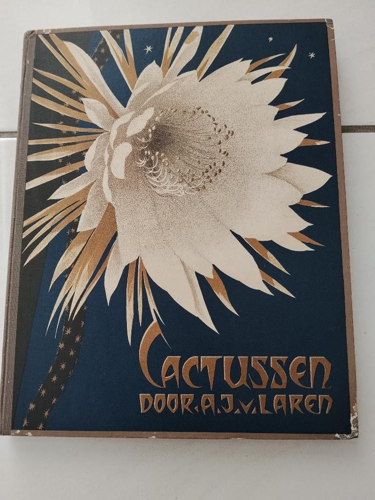 Cactussen plak / Verkade plaatjes boek 1931, Ophalen of Verzenden, Gelezen