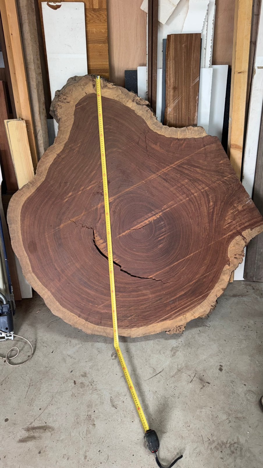 3 boomstamschijven Bubinga en Mahonie, Ophalen, Overige typen, Nieuw, 50 mm of meer