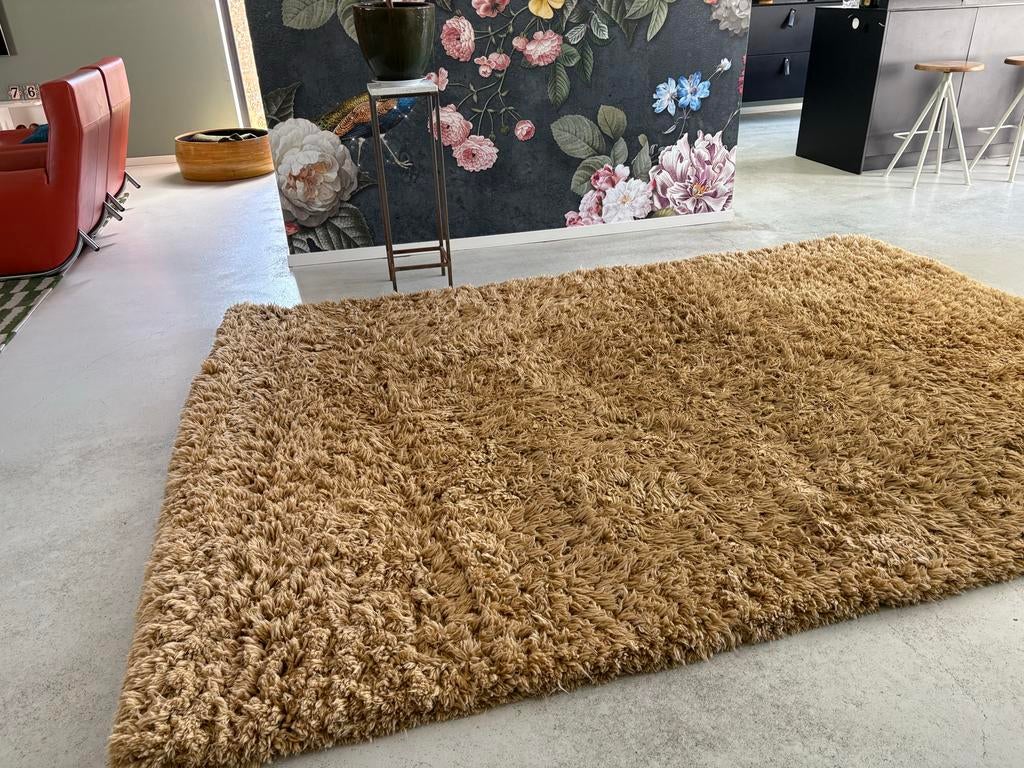 Camelkleurig hoogpolig tapijt - 200 x 290 cm, Ophalen, Bruin, Zo goed als nieuw, 200 cm of meer