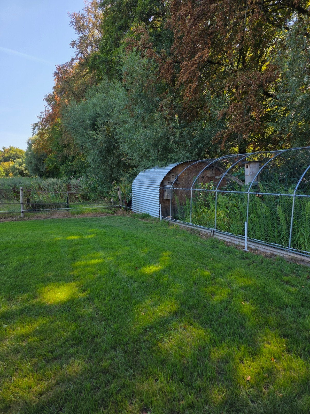 kippen ren vogels fazanten 20 m lang 3m breed, Tuin en Terras, Gaas en Draad, Ophalen, 10 tot 20 meter