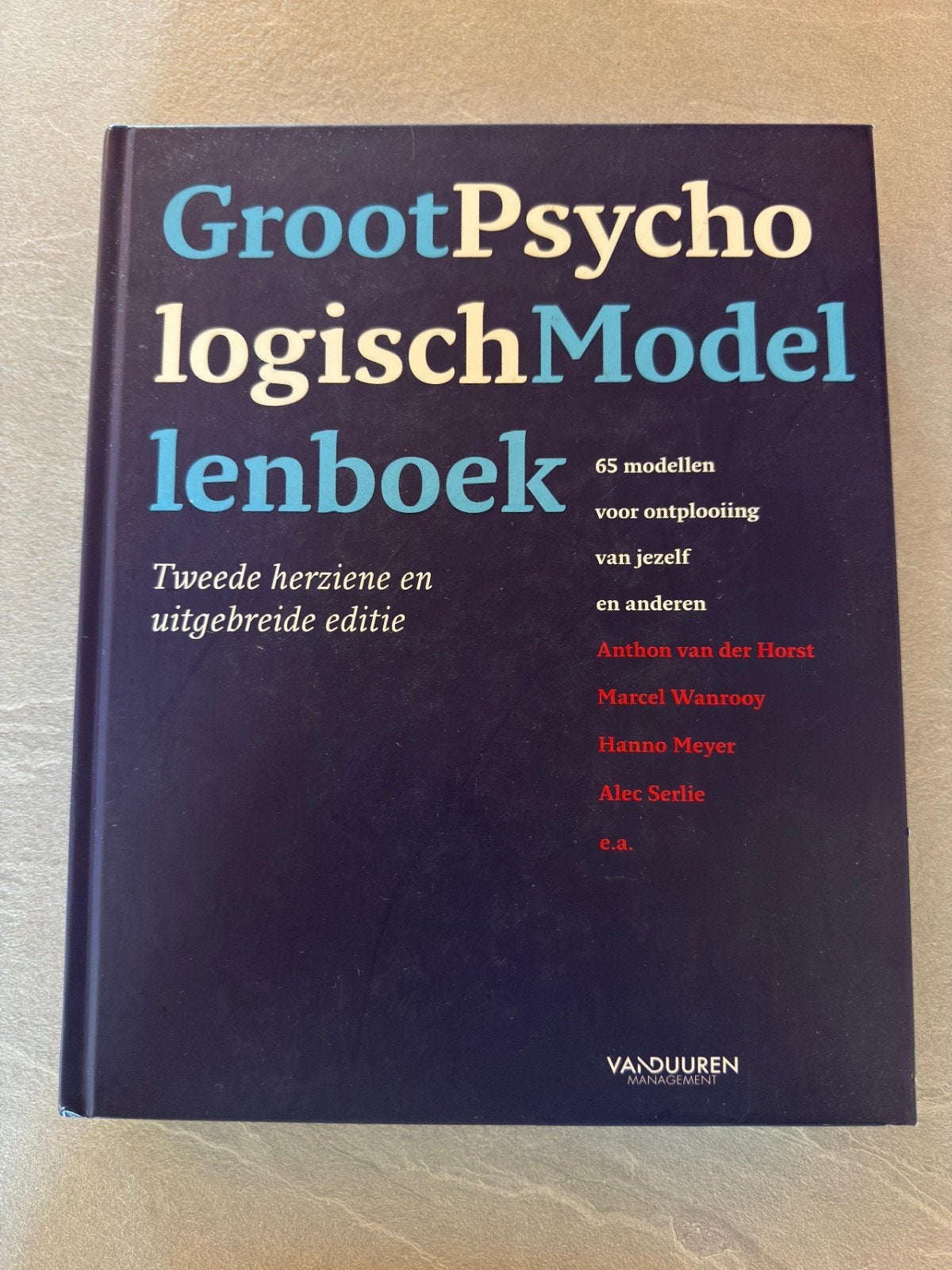 Groot Psychologisch Modellenboek - 2e herziene editie, Anthon van der Horst, Marcel Wanrooy, Hanno Meyer, Alec Serlie, Zo goed als nieuw