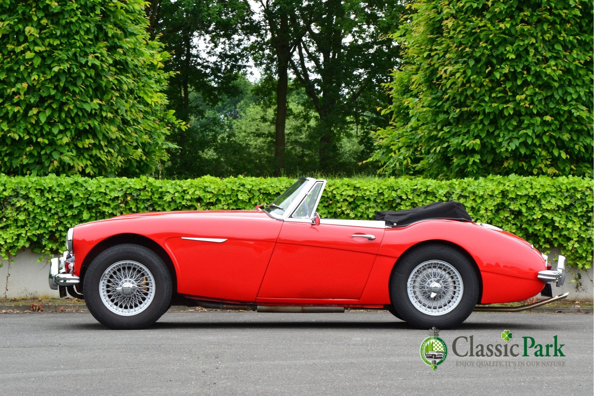 Austin Healey 3000 MK II A (bj 1962), foto 2