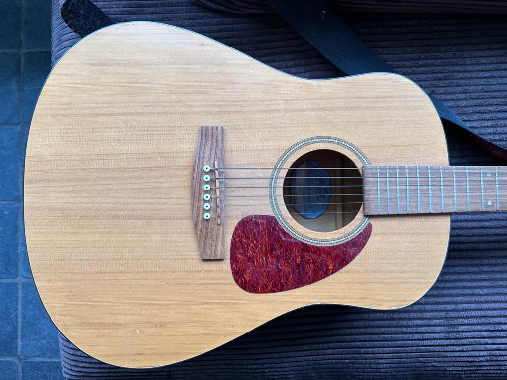 Seagull Western gitaar met schouderband en gitaartas, Ophalen, Gebruikt, Western- of Steelstringgitaar