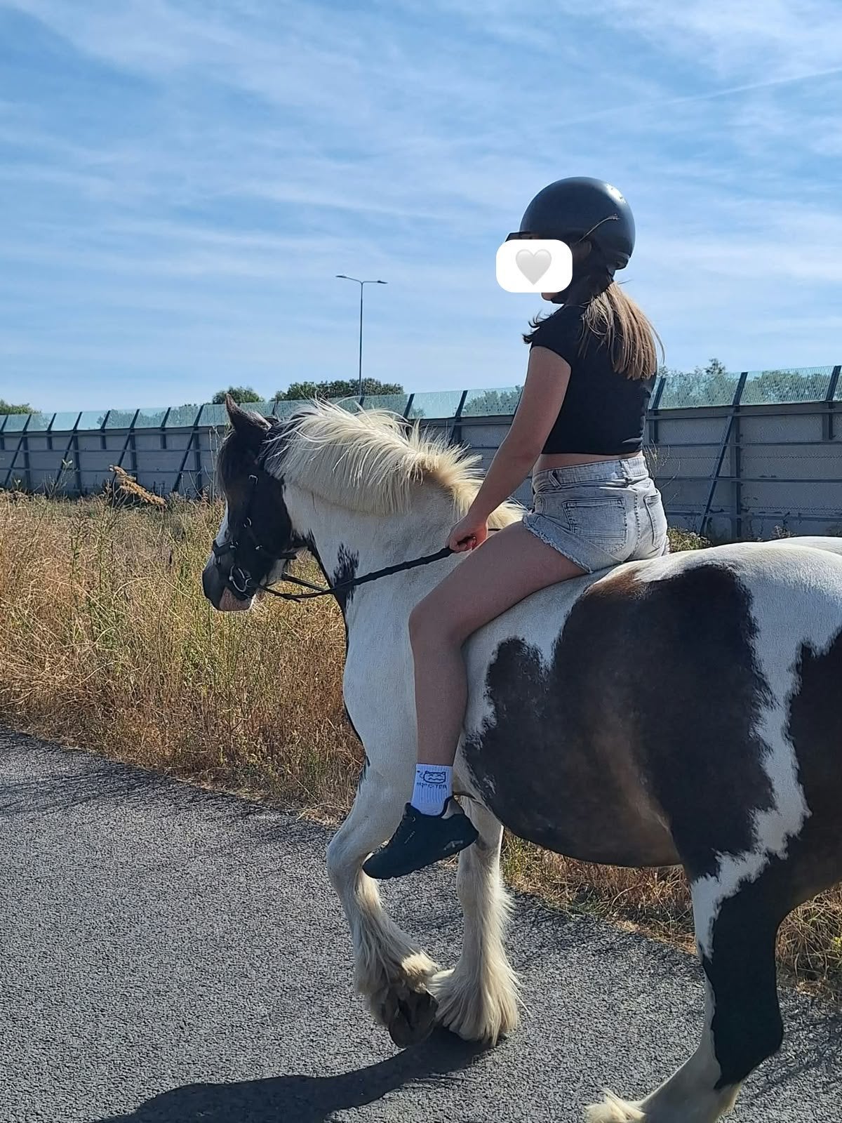 Verzorgpony gezocht/verzorger/bijrijder aangeboden!!!, Dieren en Toebehoren, Ophalen of Verzenden, Zo goed als nieuw