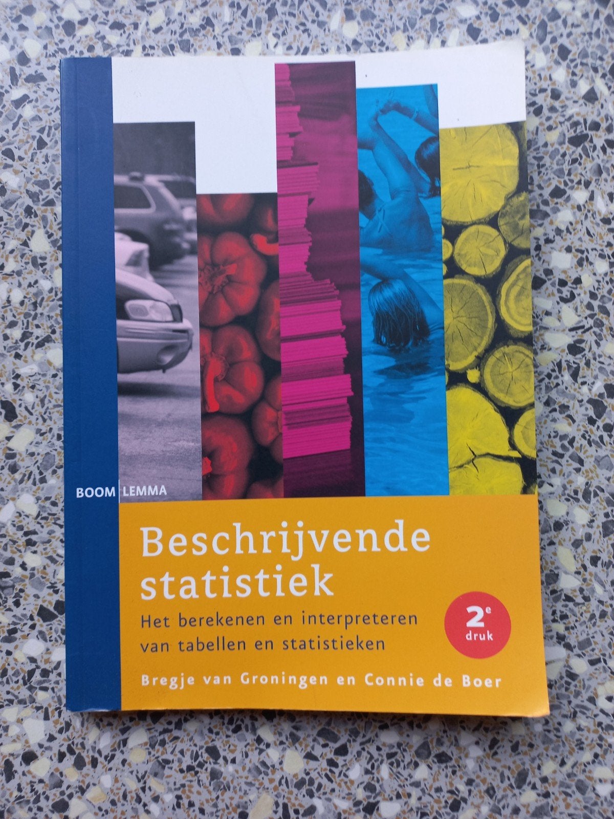 Bregje van Groningen - Beschrijvende statistiek, Ophalen of Verzenden, Zo goed als nieuw, Bregje van Groningen; Connie de Boer