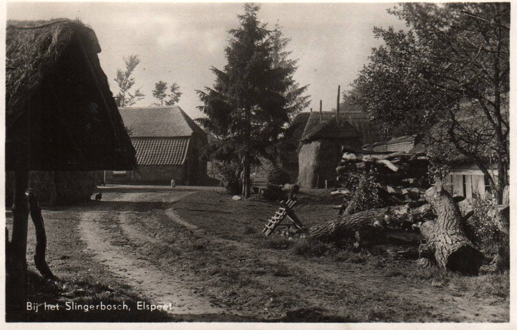 Ansichtkaart Elspeet, Verzamelen, Ophalen of Verzenden, Gelderland