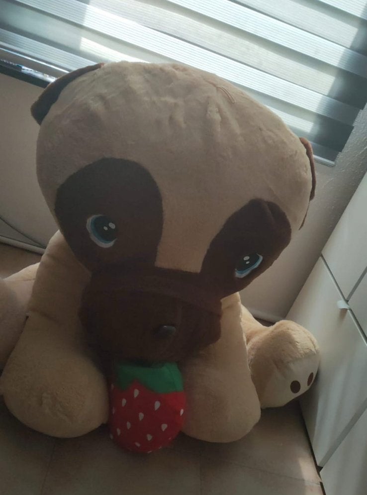 mopshond-knuffel met een aardbei in de bek, Ophalen, Zo goed als nieuw, Overige typen