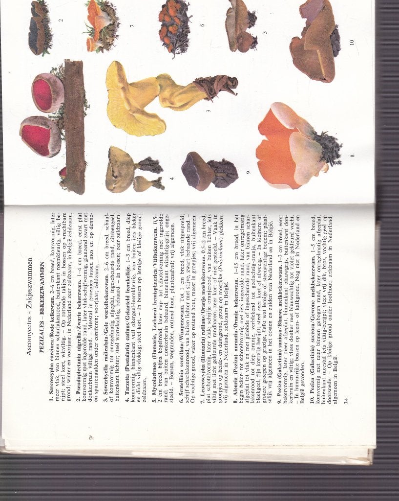 Paddestoelen boekjes  diverse titels / auteurs, Boeken, Ophalen of Verzenden, Gelezen