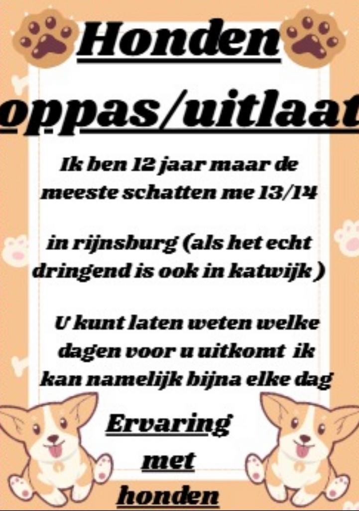 HONDEN OPPAS/UITLAAT, Vacatures, Overige vormen