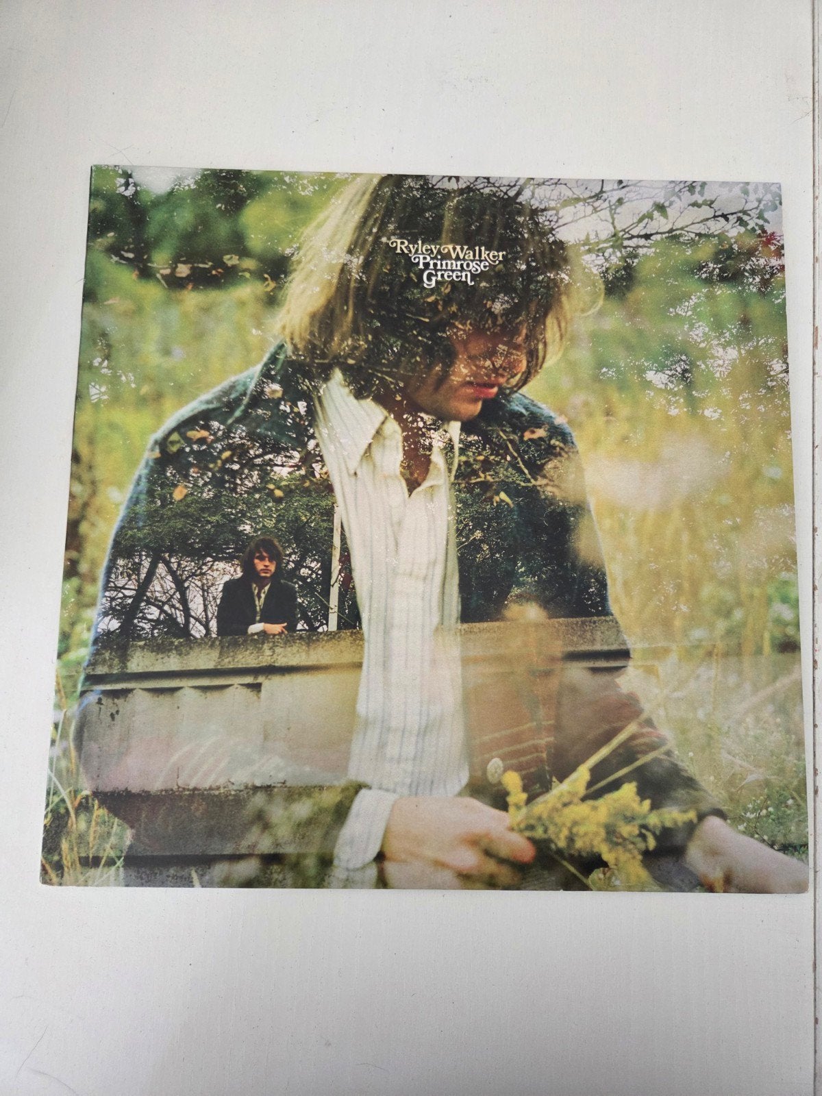 Ryley Walker - Primrose Green LP (Folk, Psych Folk), Ophalen of Verzenden, Zo goed als nieuw, 12 inch