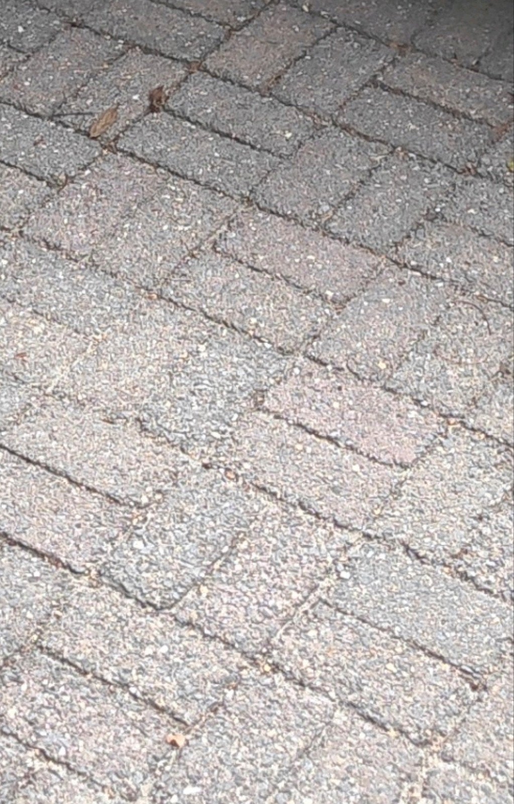 GRATIS 20 m² terras stenen / klinkers warm-grijs, Ophalen, Gebruikt, Overige materialen
