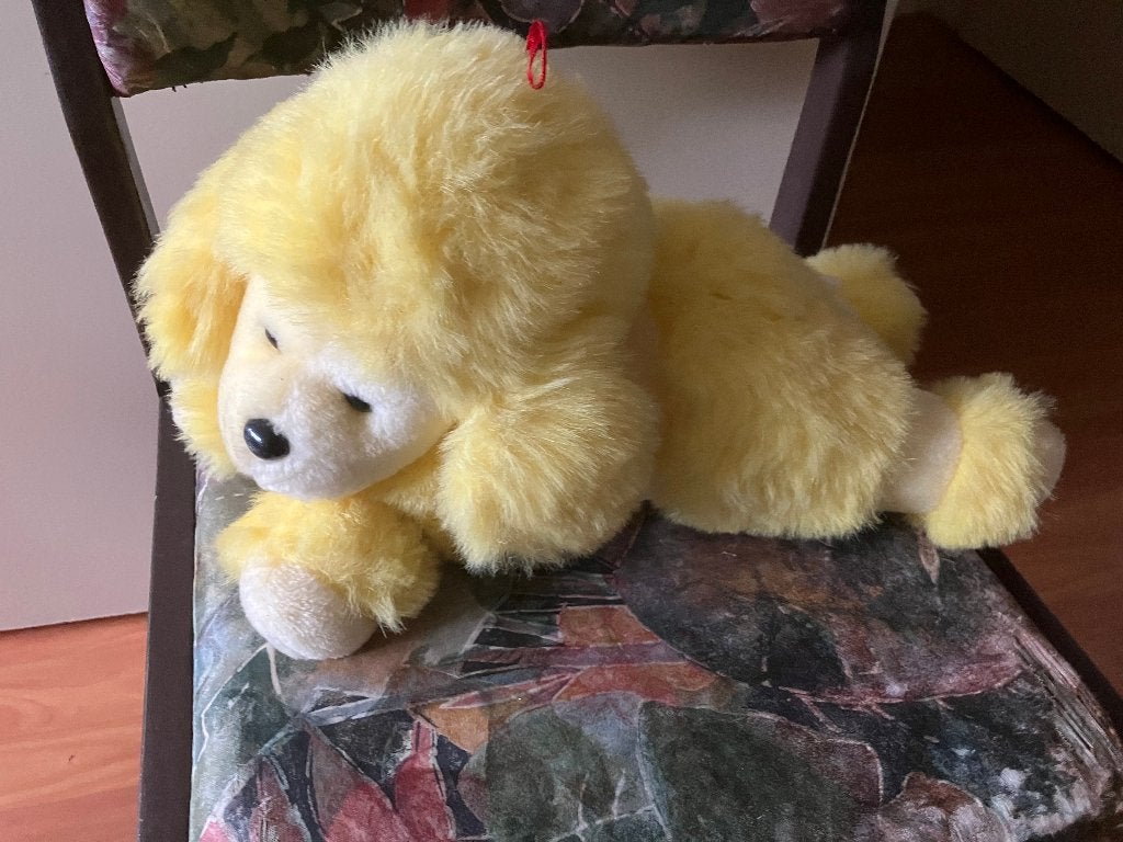 Knuffels hond (nieuw), Ophalen of Verzenden, Nieuw, Hond