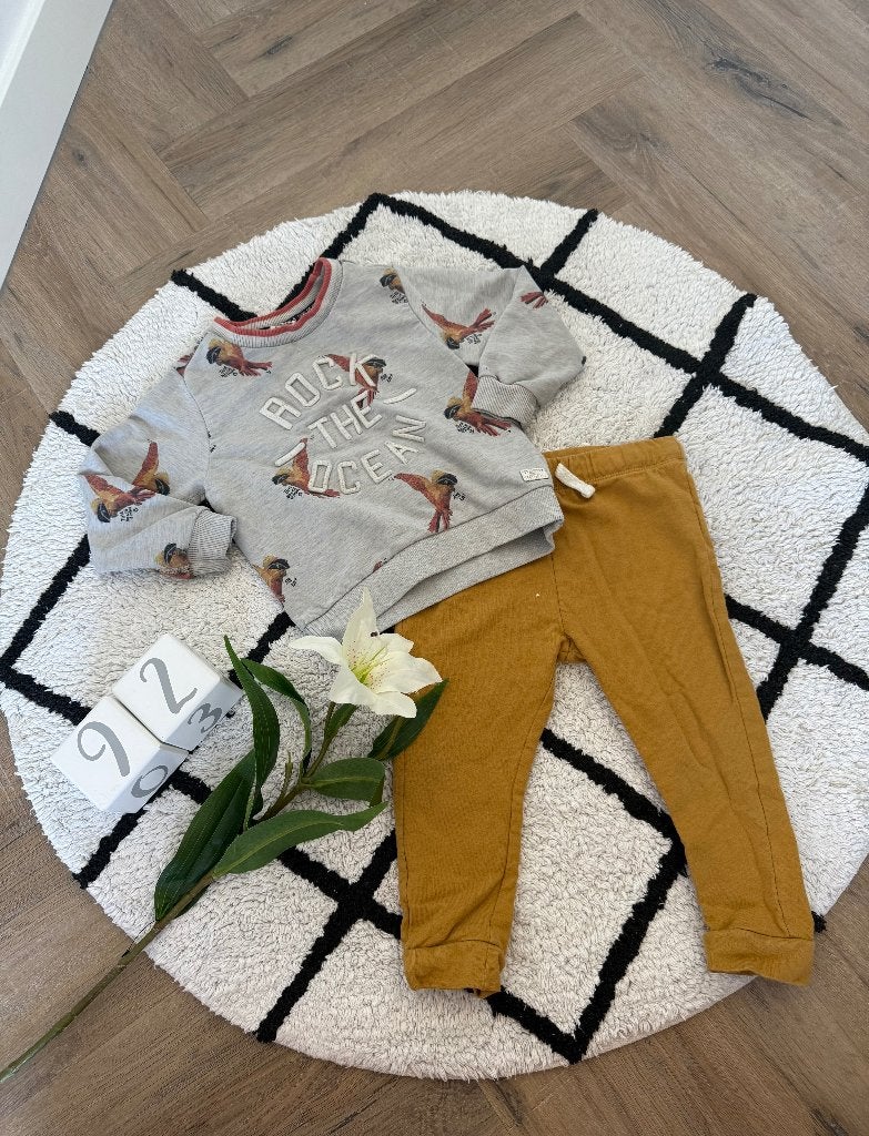 Heel goed grijs print Sturdy sweater trui 92 & Hema jogger, Jongen of Meisje, Sturdy, Ophalen of Verzenden, Zo goed als nieuw
