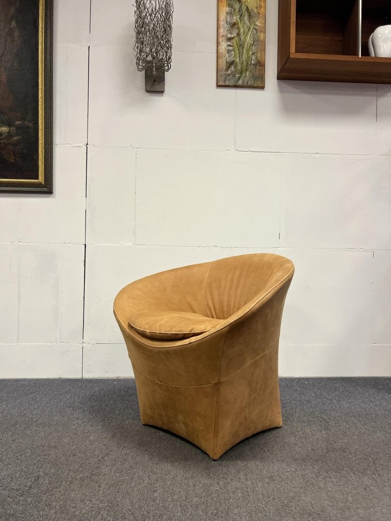 Showmodel Label van den Berg Ace Fauteuil design stoel, Nieuw, Ophalen of Verzenden, Label, Montis Leolux Artifort JORI De Sede Rolf Benz