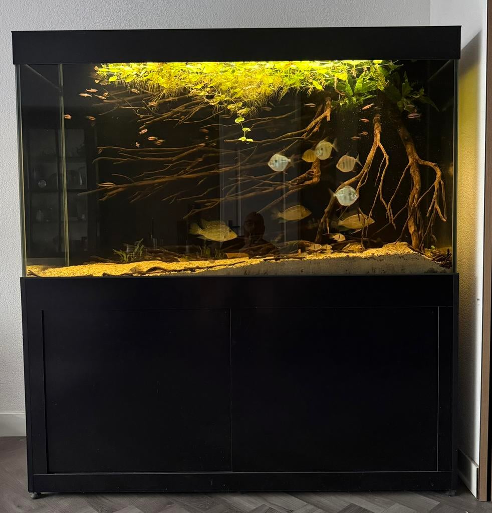 Aquarium 160x60x90 met meubel, bioloog, techniek (2022), Gebruikt, Overige merken, Leeg aquarium, Ophalen
