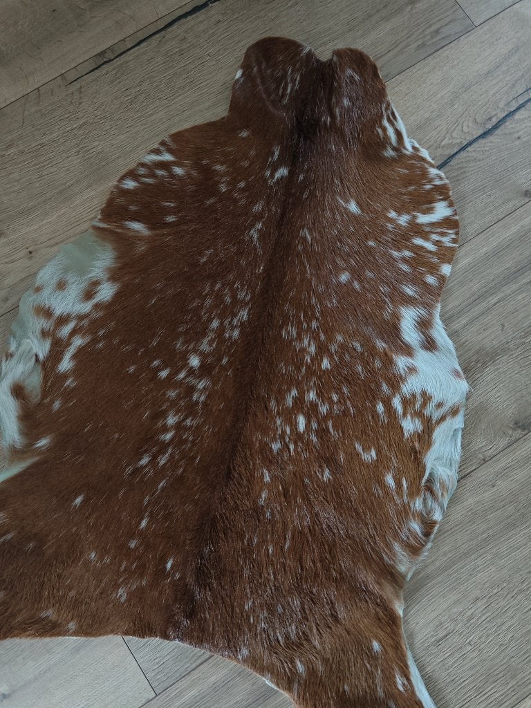 Vachtje geitenleer, Ophalen