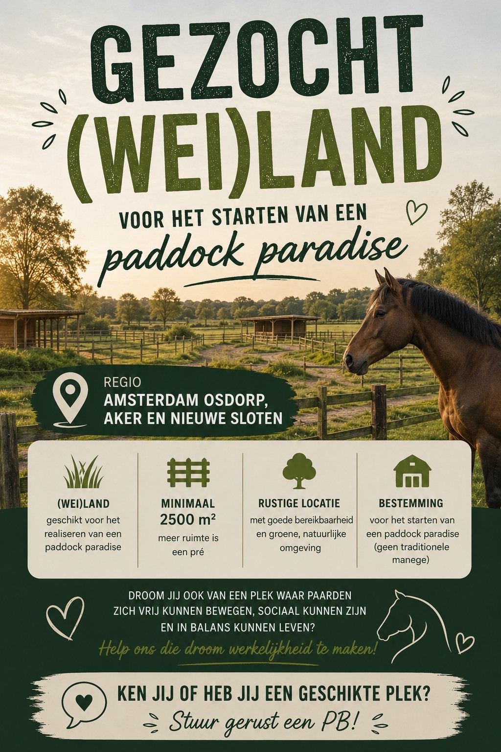 Weiland gezocht Amsterdam, Weidegang, 4 paarden of pony's of meer