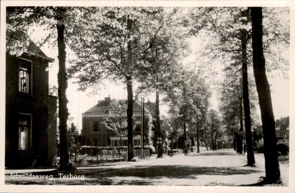 Terborg - Silvoldseweg - Straat met bomen, Ophalen of Verzenden, 1920 tot 1940, Ongelopen, Gelderland