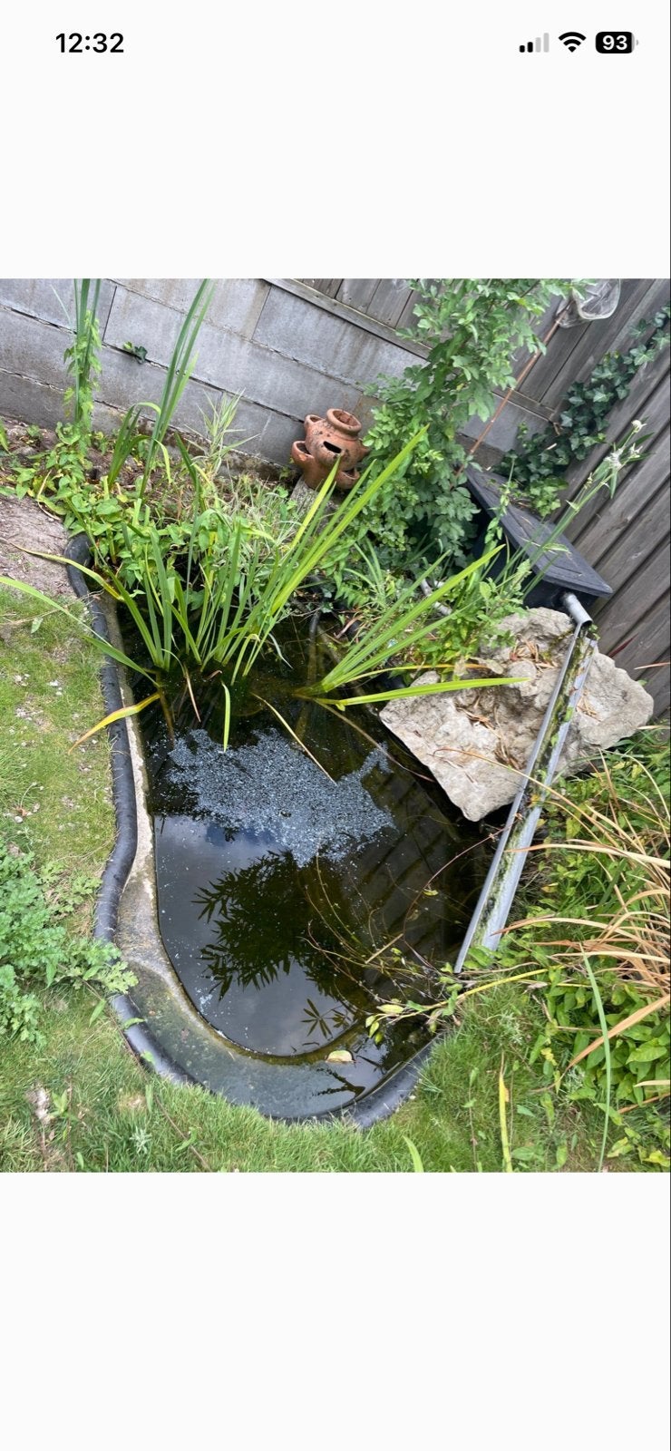 Vijver met planten, vissen en werkend filter, Ophalen, Gebruikt