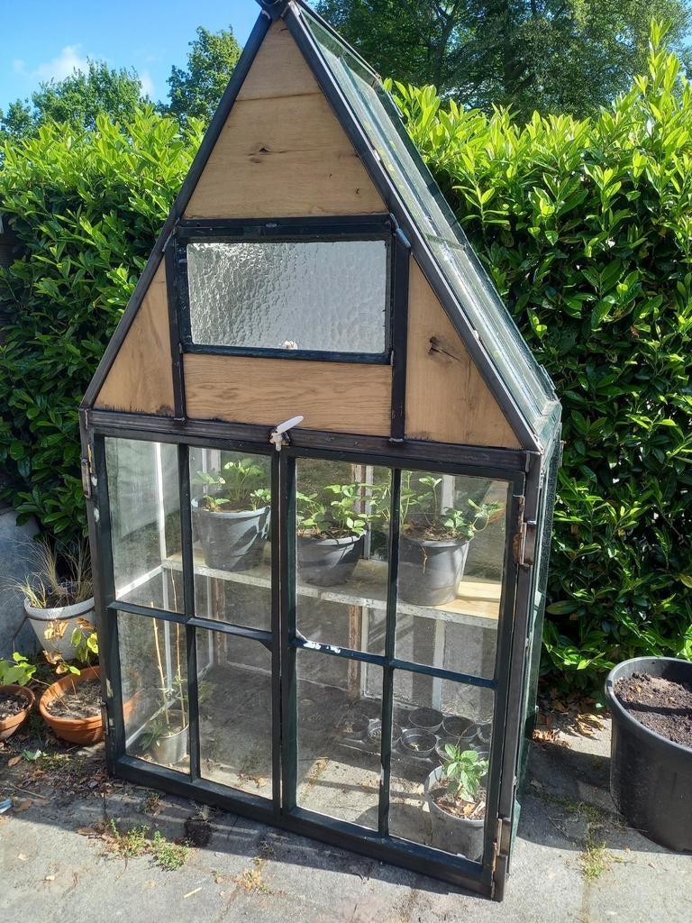 Unieke houten kweekkas met glazen panelen, greenhouse, Ophalen, Overige materialen, Gebruikt, Kweekkas