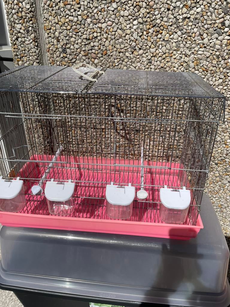 Vogels kwekken kool, Ophalen of Verzenden, Gebruikt, Kunststof, Vogelkooi