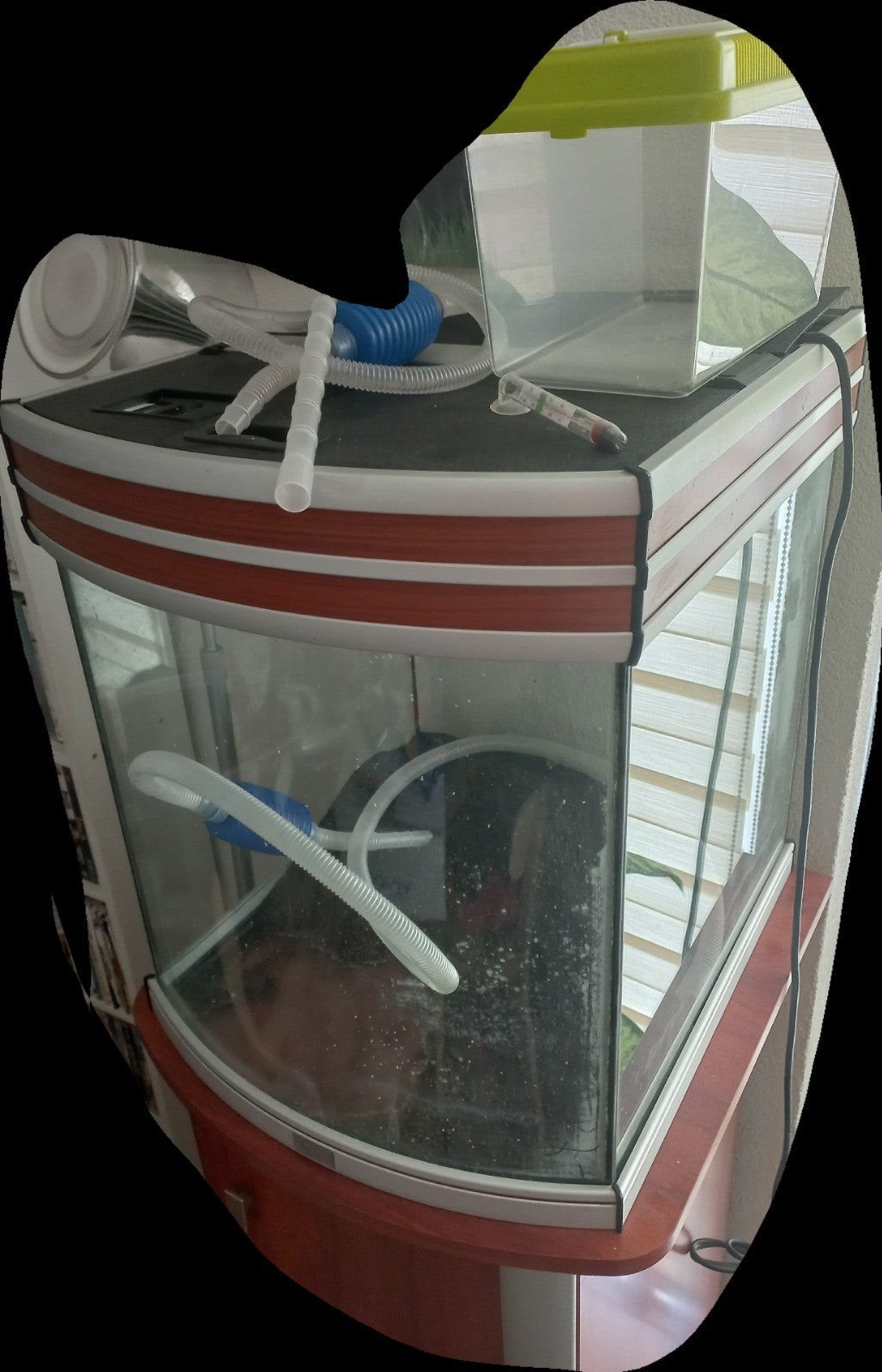 Gratis aquarium met onderkast, Dieren en Toebehoren, Ophalen, Leeg aquarium
