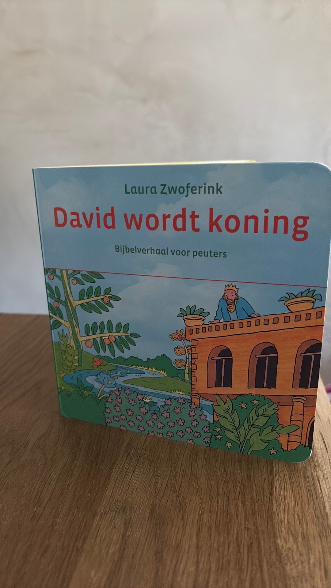 KR-1 Laura Zwoferink David wordt koning, Ophalen of Verzenden, Gelezen, Non-fictie