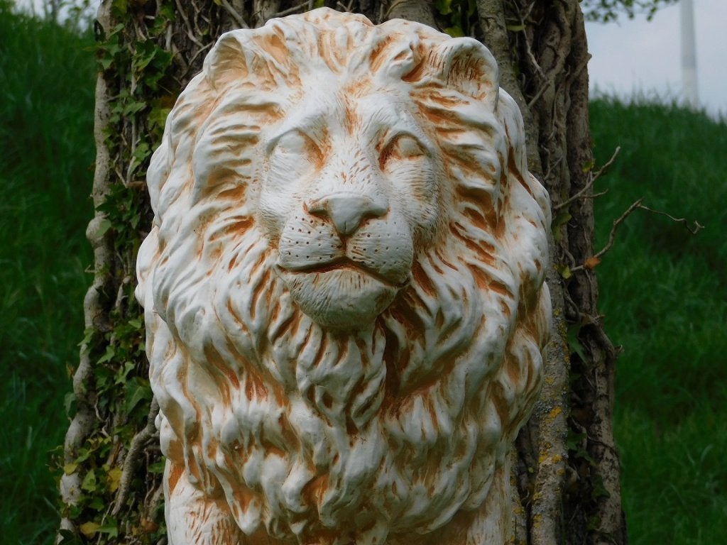 Beeld Leeuw XL - 67 cm - Polystone, Ophalen, Dierenbeeld, Kunststof, .