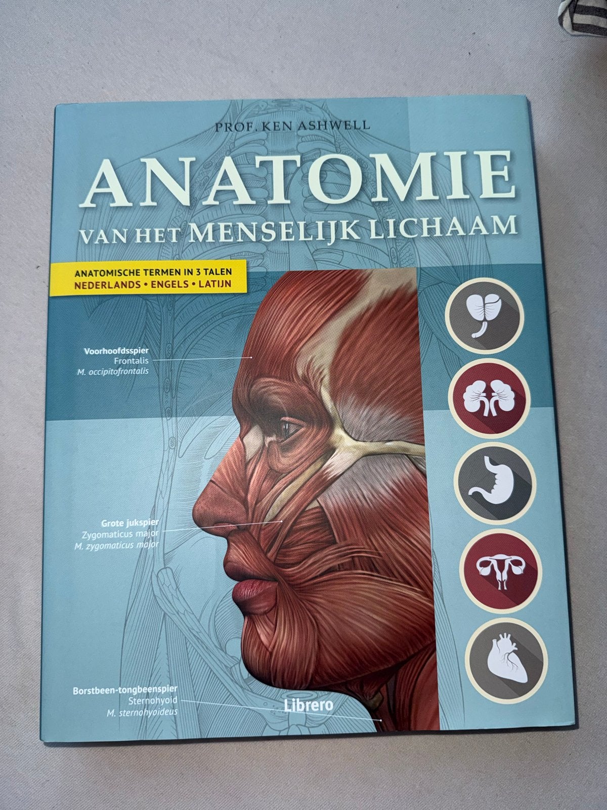 Anatomie van het Menselijk Lichaam - Ken Ashwell, Boeken, Ophalen of Verzenden, Beta, Zo goed als nieuw, HBO