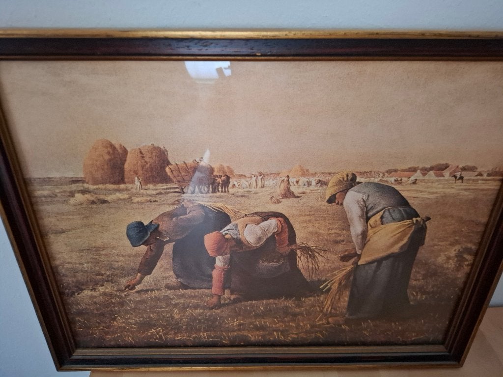 Mooie schilderijen, Huis en Inrichting, Woonaccessoires | Schilderijen, Tekeningen en Foto's, Ophalen, 50 – 75, Zo goed als nieuw