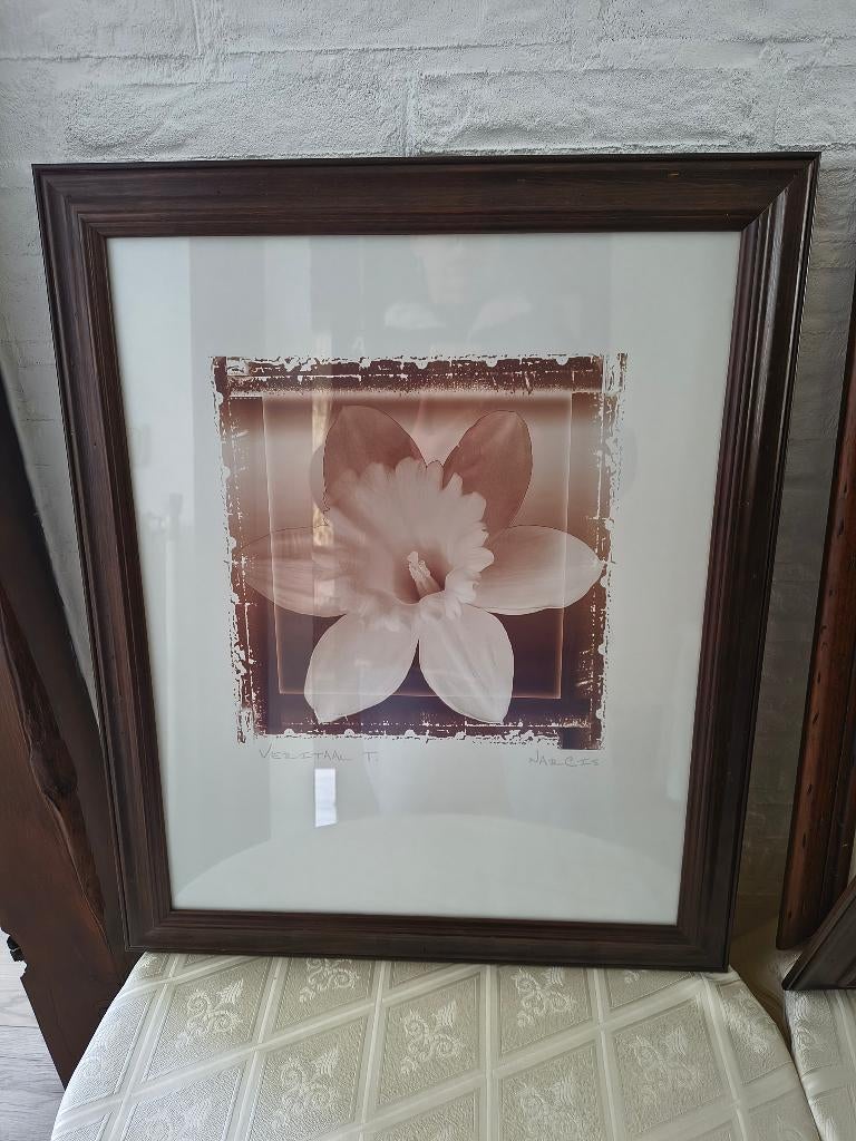 Schilderij wanddecoratie Narcis B.48xH.58 cm, Ophalen, 58 cm, Schilderij, 48 cm