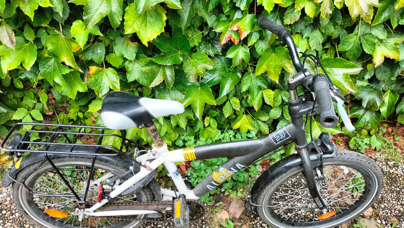 Alpina kinderfiets 20 inch - Gebruikt, Fietsen en Brommers, Fietsen | Kinderfietsjes, Ophalen, Gebruikt, Alpina, Terugtraprem