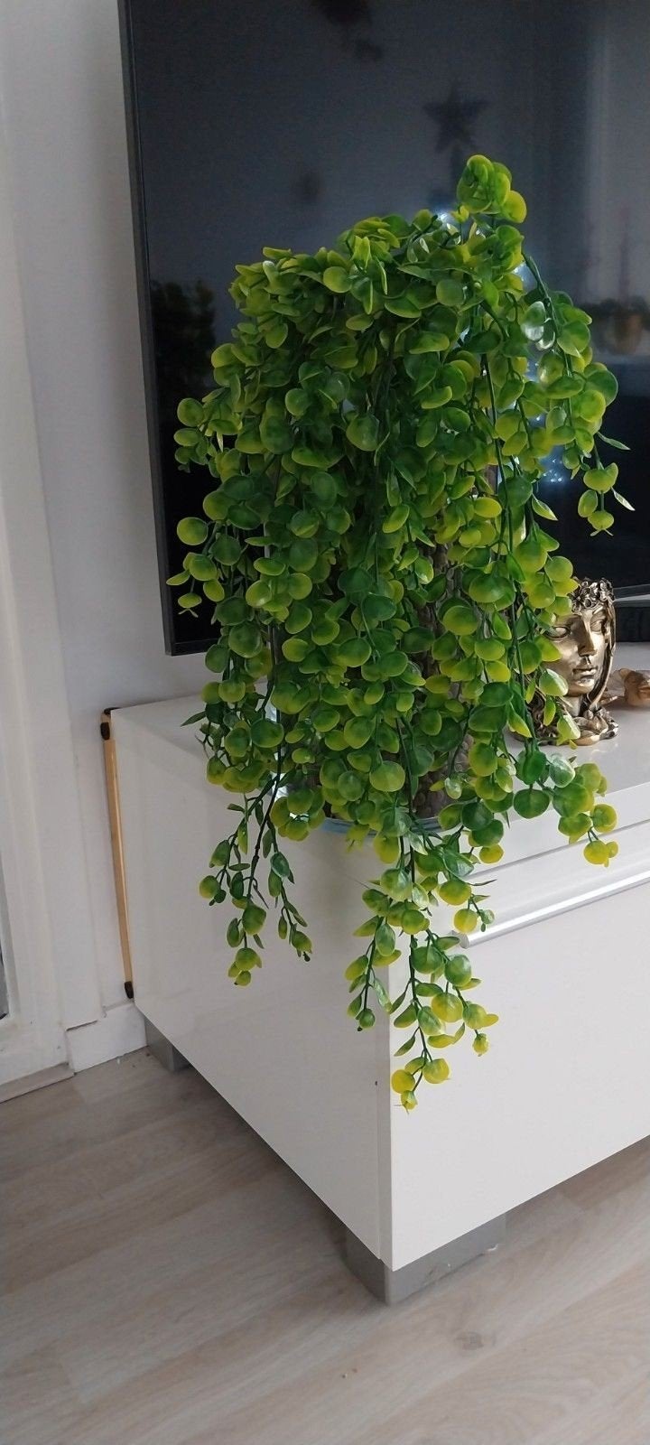 Hangplant 3x, Ophalen of Verzenden